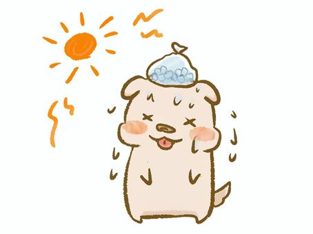 熱中症 犬,熱中症,日射病,暑い,熱い,夏,7月,8月,汗だく,汗のイラスト素材