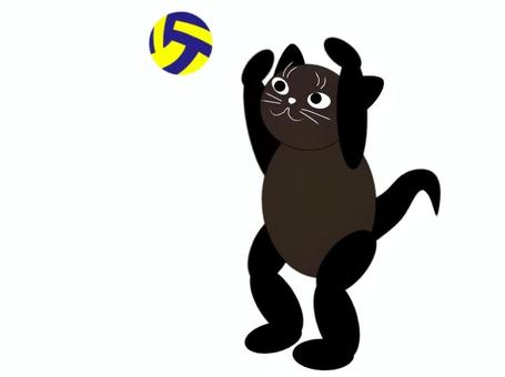 スポーツ猫36 猫,バレーボール,トス,手描き,かわいい,動物のイラスト素材