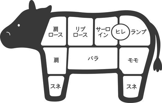 牛肉の部位 牛,部位,牛肉,スネ,文字,ヒレ,ランプ,肉,和牛,イラストのイラスト素材