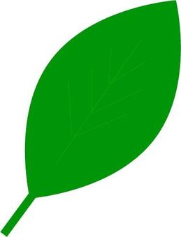 Simple green leaves, , JPG and PNG