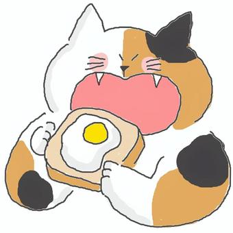 食パンを食べる三毛猫ちゃん 食パンを食べる三毛猫ちゃん かわいい,食パン,パン,朝食,目玉焼き,たまご,たべもの,おいしい,うまい,食事のイラスト素材