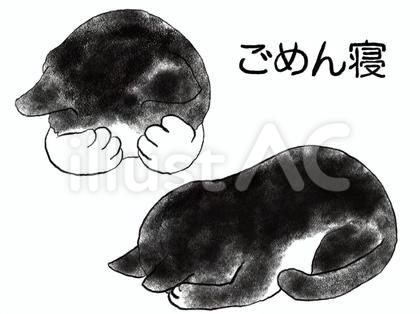 ねこ ごめん寝 04 ハチワレ
