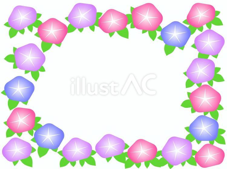 朝顔の花フレーム アサガオ,花,植物のイラスト素材