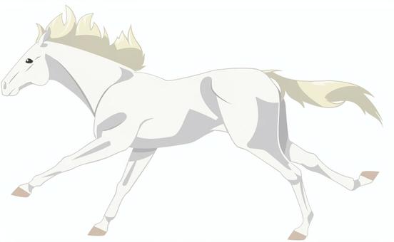 走るウマ（白毛）_2 馬,リアル,走る,イエウマ,動物,生き物,哺乳類,家畜,白毛,白馬のイラスト素材