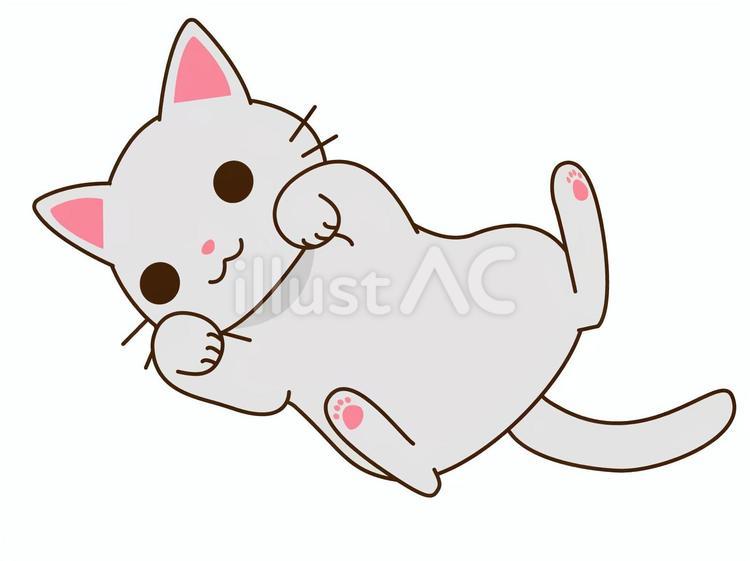 お腹を見せる白猫 可愛い,猫,仰向けのイラスト素材