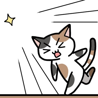 三毛猫と投げる 三毛猫,三毛,動物,投げる,遠投のイラスト素材