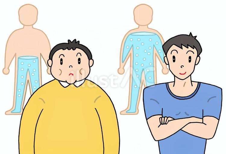 体型による体水分率の差 体水分率,体型,肥満のイラスト素材