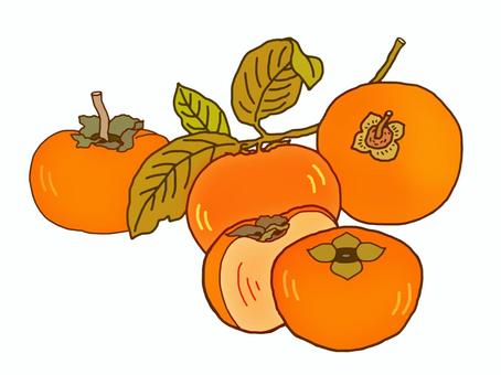 persimmon, JPG and PNG persimmon, persimmon, oyster, oysters, JPG and PNG