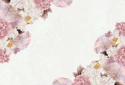Illustration, rainy season, summer, hydrangea, 