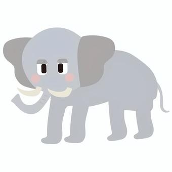 牙のあるゾウ ゾウ,象,生き物,動物,動物園,かわいい,シンプル,ベクターのイラスト素材