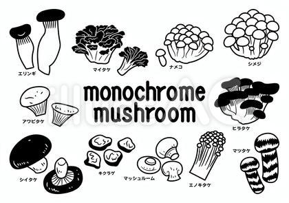 モノクロキノコ