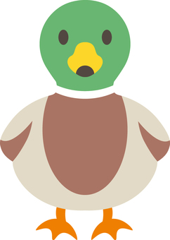 カモ カモ,動物,渡り鳥,川,イラストのイラスト素材