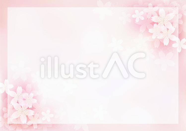 桜の花＆フレーム22 花,桜,春のイラスト素材