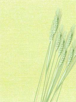 青々した緑の麦穂と麻布の背景　024 麦穂,青々,リアル,緑,ナチュラル,お洒落,自然,植物,大人っぽい,枠のイラスト素材