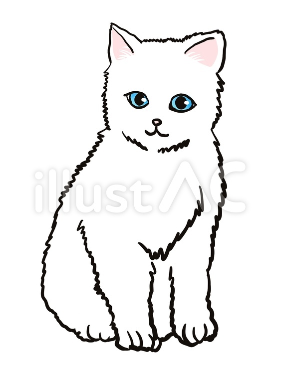白猫　ブルーアイ　子猫　お座り 猫,白猫,子猫のイラスト素材