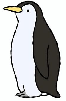 かわいいペンギンのカラーイラスト ペンギン,鳥,動物,カラー,色,立つ,デザイン,グラフィック,キャラクター,漫画のイラスト素材