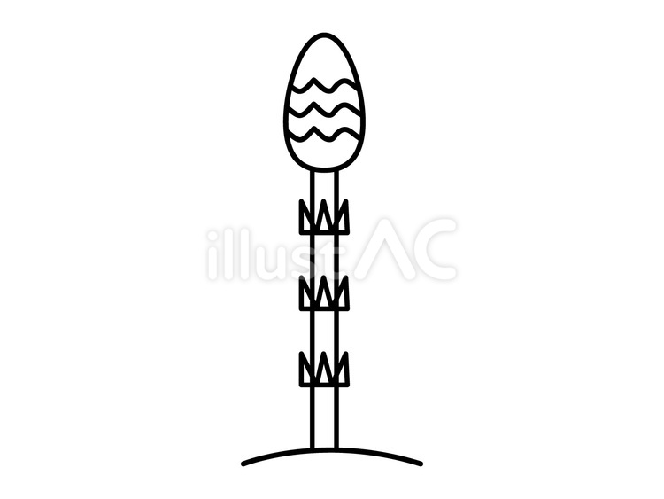 黒のつくしの塗り絵 つくし,春,植物のイラスト素材
