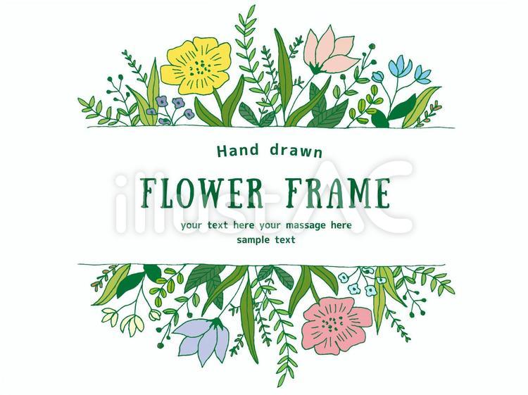 手描きのフラワーフレーム 花,植物,フラワーフレームのイラスト素材