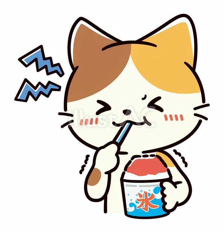 かき氷を食べ頭がキーンとした可愛い三毛猫 かき氷,頭,キーンのイラスト素材
