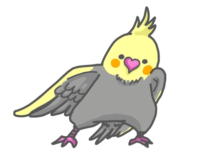 オカメインコ オカメインコ,オカメ,とり,鳥,いきもの,生き物,スサーのイラスト素材