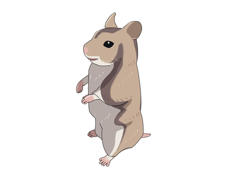 ハムスター（直立） ジャンガリアンハムスター,ヒメキヌゲネズミ,ドワーフハムスター,ハムスター,動物,直立のイラスト素材