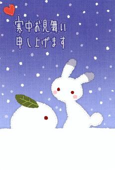 Visiting in the cold (Snow rabbit), cold sympathy, rabbit, winter, JPG and AI