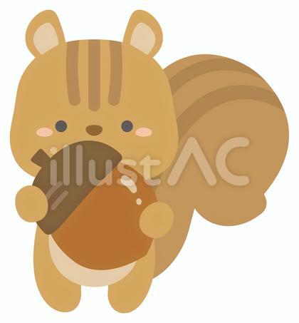 リスとどんぐり