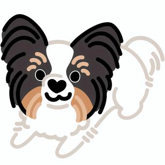 ハート鼻のパピヨン（ふせ）5 パピヨン,犬,動物,ハート,鼻,ふせ,シンプル,かわいい,キュート,デフォルメのイラスト素材