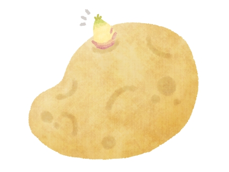 芽が出たじゃがいも ジャガイモ,芋,馬鈴薯,芽,ソラニン,毒,野菜,食材,収穫,茶色のイラスト素材
