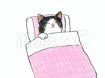 ねこ お布団でおやすみ 4 ハチワレ