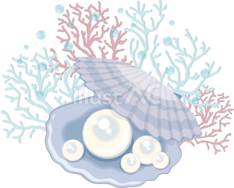 真珠貝　珊瑚背景付き 真珠,パール,アコヤ貝のイラスト素材