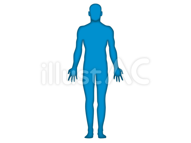 人体図　正面　立体　男性1 人体,人体図,正面のイラスト素材