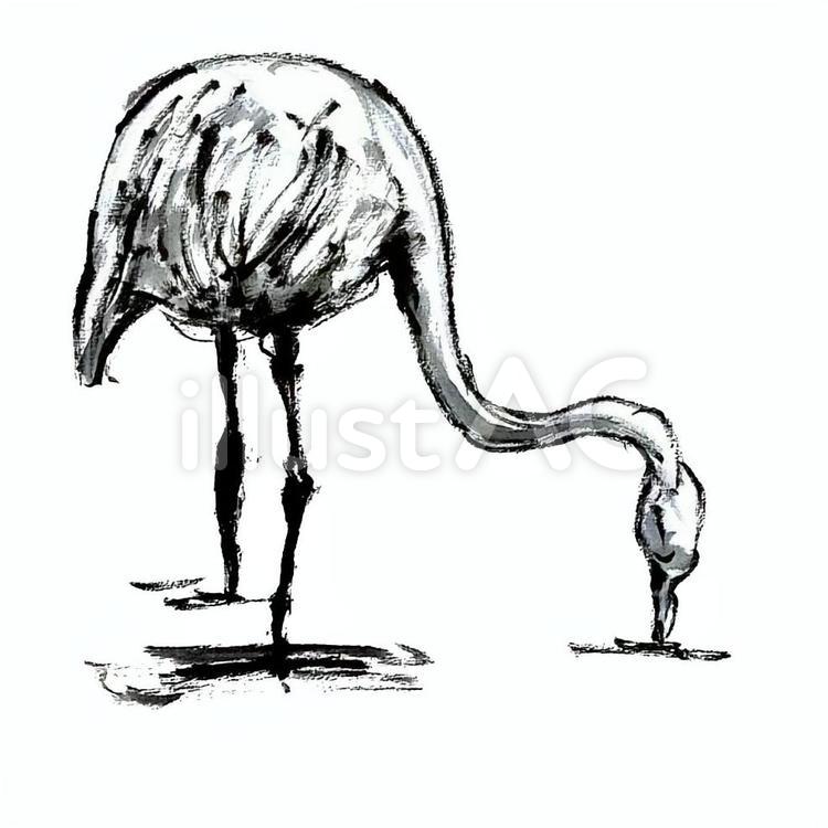 フラミンゴイラスト No 1075622 無料イラストなら イラストac