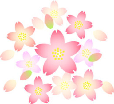 Sakura-chan, JPG Sakura-chan, , JPG