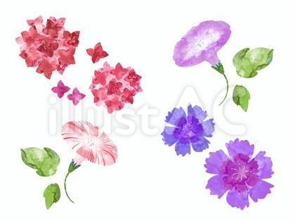 赤紫の花のイラストセット