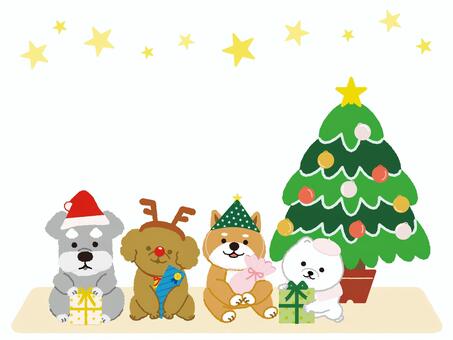 仔犬のクリスマス会 シュナウザー,プードル,ポメラニアン,柴犬,犬,仔犬,クリスマスツリー,動物,ペット,友達のイラスト素材
