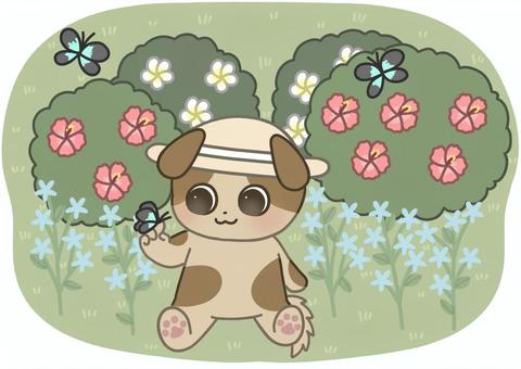 Illustration, hawaii, ohana, hat, 