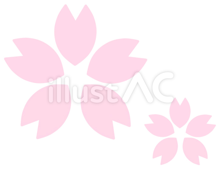 桜（薄） 桜,さくら,春のイラスト素材