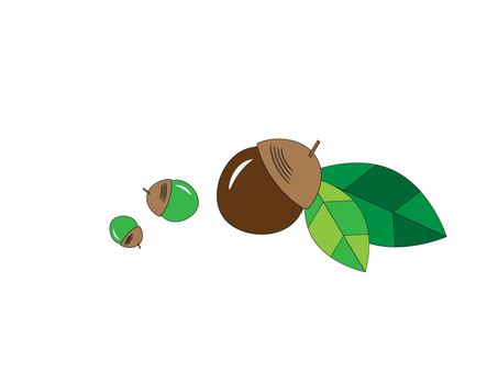 Vector illustration of green and brown acorns, acorn, leaf, autumn, JPG, PNG and AI