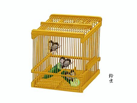 虫かご鈴虫 鈴虫,虫かご,きゅうり,昆虫,鳴くのイラスト素材