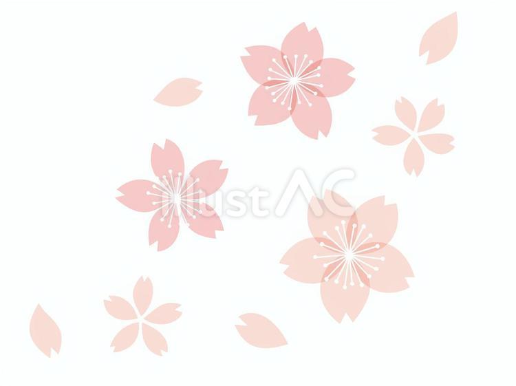 流れるように舞う桜の花 桜,桜の花,春のイラスト素材
