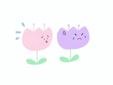 Illustration, be impatient, sweat, tulip, 