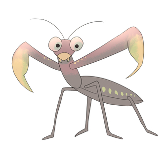 カマキリ（茶） カマキリ,昆虫,鎌,茶色,触角,羽,春,飼育,虫,昆虫採集のイラスト素材