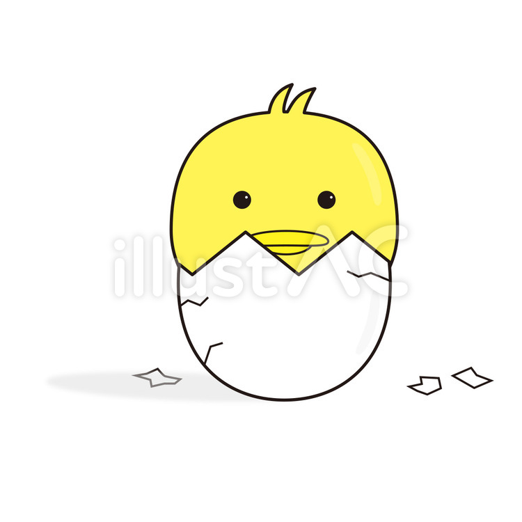 まだまだひよこ ひよこ,ヒヨコ,ヒナのイラスト素材