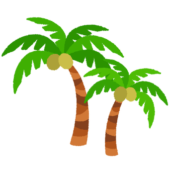 Illustration, palm tree, coconut, hawaii, 