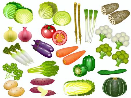 野菜セット（20種） 野菜,キャベツ,レタス,ごぼう,長ネギ,レンコン,タマネギ,トマト,ニンジン,カリフラワーのイラスト素材