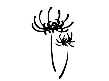 9月のおたよりモノクロ　彼岸花 彼岸花,白黒,秋,花,植物のイラスト素材