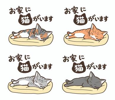 お家に猫がいます 文字,お家,留守番,かわいい,猫,生き物,動物,三毛猫,しま三毛猫,茶白猫のイラスト素材