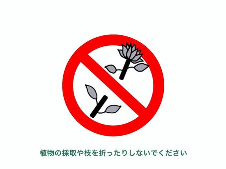 枝をおらないで 枝,花,折るな,採取,公園,植物のイラスト素材