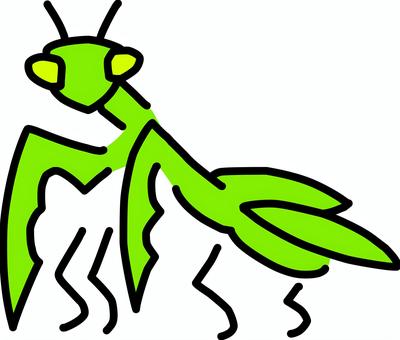 Illustration, mantis, insect, summer, 